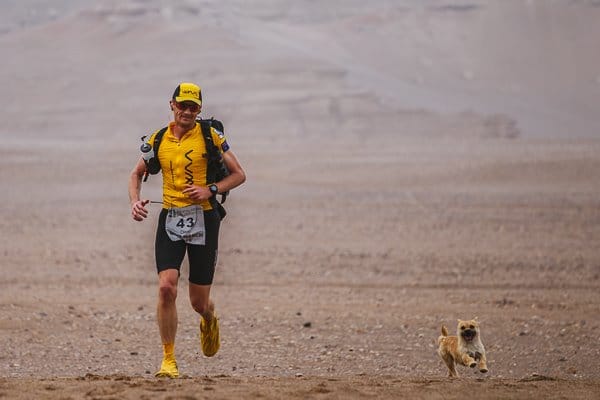 Der kleine Hund begleitete den Läufer