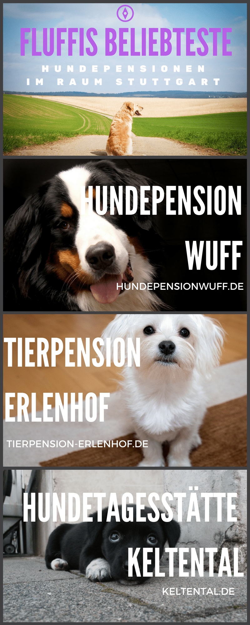 Diese Hundepensionen bekamten viele Stimmen in Fluffis Kategorie: Hundepension Stuttgart