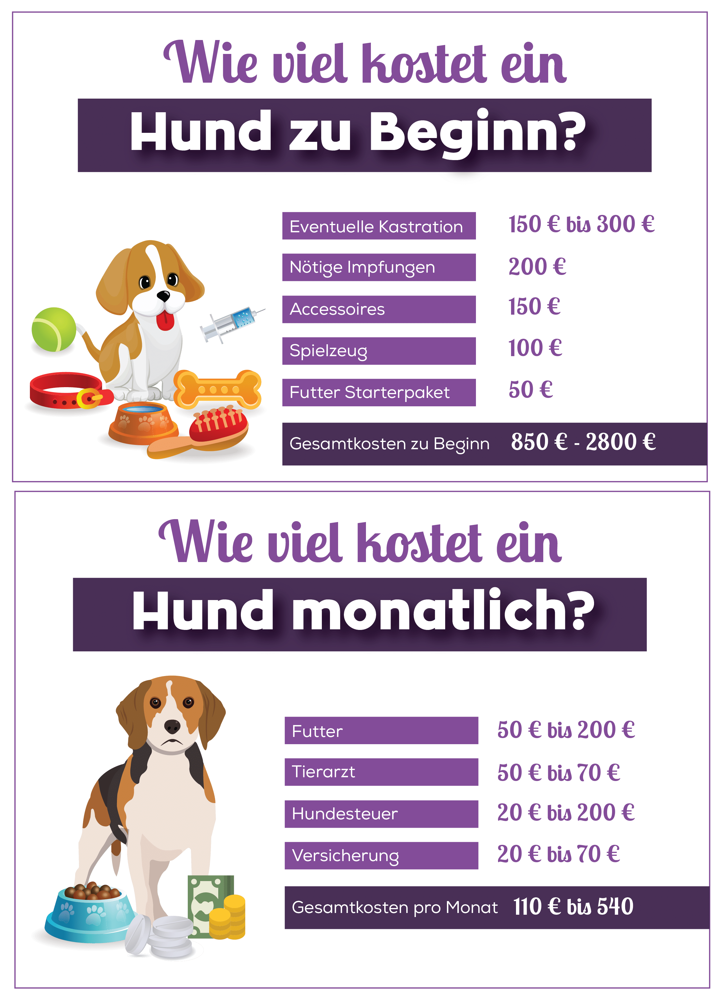 Wie viel kostet ein Hund? Übersicht über alle Kosten für Hunde Fluffis.de